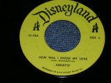 ANNETTE / JIMMIE DODD - HOW WILL I KNOW MY LOVE / ANNETTE / 1960s US ORIGINAL 7"SINGLE  
