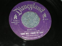 画像1: ANNETTE - HOW WILL I KNOW MY LOVE / 1958 US ORIGINAL 7" SINGLE  
