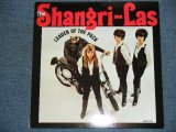 THE SHANGRI-LAS - LEADER OF THE PACK / REPRO or REISSUE Brand New STEREO LP  
