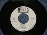 EARL-JEAN - RANDY / 1964 US ORIGINAL White Label Promo 7" SINGLE 