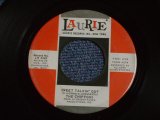 THE CHIFFONS - SWEET TALKIN' GUY / 1965 US ORIGINAL 7" SINGLE  