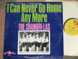 THE SHANGRI-LAS - I CAN NEVER GO HOME ANY MORE ( Re-pacage of "SHANGRI-LAS '65") / 1966 US ORIGINAL MONO LP 