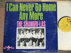 画像1: THE SHANGRI-LAS - I CAN NEVER GO HOME ANY MORE ( Re-pacage of "SHANGRI-LAS '65") / 1966 US ORIGINAL MONO LP 