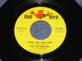 THE SHANGRI-LAS - LONG LIVE OUR LOVE ( Ex+++/Ex+++ ) / 1966 US ORIGINAL 7" Single  
