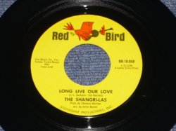 画像1: THE SHANGRI-LAS - LONG LIVE OUR LOVE ( Ex+++/Ex+++ ) / 1966 US ORIGINAL 7" Single  