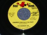THE SHANGRI-LAS - REMEMBER / 1964 US ORIGINAL 7" Single  