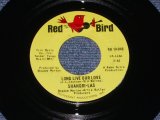 THE SHANGRI-LAS - LONG LIVE OUR LOVE / 1966 US ORIGINAL 7" Single  