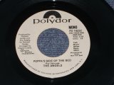 THE ANGELS - POPPA'S SIDE OF THE BED / 1974 US ORIGINAL 7" SINGLE  
