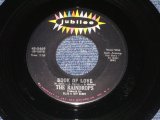 THE RAINDROPS - BOOK OF LOVE ( Ex+ Grade ) / 1964 US ORIGINAL 7" SINGLE  