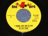 THE JERRY BEANS - I WANNA LOVE HIM SO BAD ( MINT- )/ 1964 US ORIGINAL 7" Single