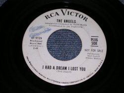 画像1: THE ANGELS - I HAD A DREAM LOST YOU / 1967 US ORIGINAL White Label Promo 7" Single