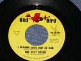 THE JERRY BEANS - I WANNA LOVE HIM SO BAD ( Ex+++ / WOL )/ 1964 US ORIGINAL 7" Single  