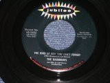 THE RAINDROPS - THE KIND OF BOY YOU CAN'T FOR GET ( Ex+++/Ex+++ )  / 1963 US ORIGINAL 7" SINGLE  
