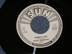 画像1: DAVID HOUSTON - SHERRY'S LIPS / 1966 US ORIGINAL White Label Promo 7" Single