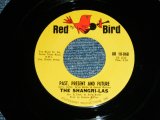 THE SHANGRI-LAS - PAST, PRESENT AND FUTURE / PARADISE  ( MINT-/MINT- )  / 1966 US ORIGINAL Used 7" Single  