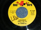 THE SHANGRI-LAS - REMEMBER(Ex++/Ex++ : WOL )  / 1964 US ORIGINAL Used 7" Single  