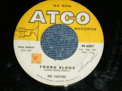 画像1: COASTERS - YOUNG BLOOD : SEARCHIN'  / 1957 US AMERICA ORIGINAL Used 7" Single 