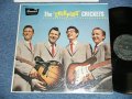 BUDDY HOLLY and THE CRICKETS - THE "CHIRPING" CRICKETEx++/Ex++) / 1957 US AMERICA ORIGINAL 1st Press "TEXTORED" COVER" MONO Used LP  