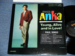 画像1: PAUL ANKA - YOUNG, ALIVE AND IN LOVE!  ( with PORTRAIT OF PAUL ANKA on BACK COVER STYLE : Ex+/Ex++ Looks:Ex+   ) /  1962 US AMERICA ORIGINAL UMONO Used LP