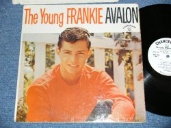 画像1: FRANKIE AVALON - The YOUNG FRANKIE AVALON  ( Ex/Ex++  ) / 1960 US AMERICA ORIGINAL 1st Press "WHITE Label PROMOl"  MONO Used  LP  
