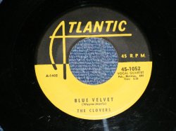 画像1: THE CLOVERS - BLUE VELVET ( Ex+++/Ex+++ ) / 1955 US AMERICA ORIGINAL Used 7" Single 