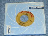 SHELLEY FABARES - JOHNNY ANGEL : WHERE'S IT GONNA GET ME?   ( MINT-/MINT- )  / 1962 US AMERICA ORIGINAL   Used 7" SINGLE 