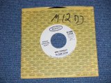 The SHERRY SISTERS - NOT TONIGHT : ONLY TIME WILL TELL   ( Ex+++/Ex++)  / 1960's US AMERICA  ORIGINAL "WHITE LABEL PROMO" Used 7" SINGLE 