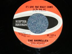 画像1: THE SHIRELLES - IT'S LOVE THAT REALLY COUNTS : STOP THE MUSIC ( MINT-/MINT- ) / 1962 US AMERICA  Used 7" SINGLE