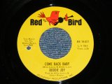 RODDIE JOY - COME BACK BABY : LOVE HIT ME WITH WALLOP   ( Ex+++/Ex+++ BB )  / 1965 US AMERICA ORIGINAL Used 7"SINGLE 