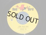 RODDIE JOY - COME BACK BABY : LOVE HIT ME WITH WALLOP   ( Ex+++/Ex+++ BB )  / 1965 US AMERICA ORIGINAL Used 7"SINGLE 