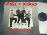 DANNY and The JUNIORS -  ROCK and ROLL IS HERE TO STAY  (16 TRACKS)  ( MINT-/MINT- )  / 1980's EUROPE   Used LP 