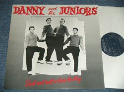画像1: DANNY and The JUNIORS -  ROCK and ROLL IS HERE TO STAY  (16 TRACKS)  ( MINT-/MINT- )  / 1980's EUROPE   Used LP 