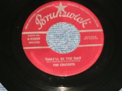 画像1: THE CRICKETS ( BUDDY HOLLY ) - THAT'LL BE THE DAY :I'M LOOKING FORSOMEONE TO LOVE (Ex+++/Ex+++ ) / 1957 USAMERICA  Original Used 7" Single  