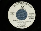 The THREE PENNIES - A PENNY FOR YOUR THOUGHTS : WHY AM I SO SHY ( Ex+++/Ex++ ) / 1964 US AMERICA Original "WHITE LABEL PROMO" Used 7" Single   