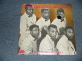 MAURICE WILLIAMS and The ZODIACS - THE BEST OF ( SEALED)  / US AMERICA "BRAND NEW SEALED" LP 