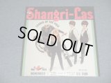 THE SHANGRI-LAS - LEADER OF THE PACK (SEALED) / US AMERICA REISSUE ”Brand New SEALED” LP  