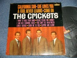 画像1: The CRICKETS - CALIFORNIA SUN/SHE LOVES YOU  (Ex+/Ex+++ A-1:Ex ) /  1964 US AMERICA ORIGINAL  MONO  Used  LP