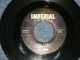 FATS DOMINO -  A) IDA JANE  B) YOU WIN AGAIN (Ex+/Ex   STOL)  / 1962 US AMERICA ORIGINAL Used 7" Single 