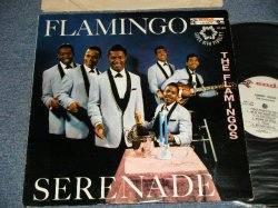 画像1: FLAMINGOS - FLAMINGO SERENADE (Ex+++/MINT- STPOBC) / 1959 US AMERICA ORIGINAL MONO Used LP 