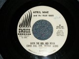 APRIL MAE and The BLUE SKIES  - A)WHEN THE RED, RED ROBIN COMES BOB, BOBBIN' ALONG  B)YOU WERE BORN TO BE LOVED (Ex+++/Ex+++) / 1963 US AMERICA Original "WHITE LABEL PROMO" Used 7" Single 