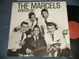 THE MARCELS -  HEARTACHES (MINT-/MINT-) / 1980's EUROPE Used LP