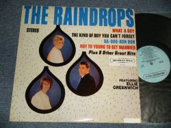 画像1: THE RAINDROPS - THE RAINDROPS (MINT-/MINT) / 1985 US AMERICA REISSUE Used LP