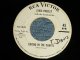 ELVIS PRESLEY - A) CRYING IN THE CAPEL  B)I BELIEVE IN THE MAN IN THE SKY (Ex/Ex) / 1965 US AMERICA ORIGINAL "WHITE LABEL PROMO" Used 7" Single 