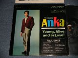 PAUL ANKA - YOUNG, ALIVE AND IN LOVE! (with PORTRAIT OF PAUL ANKA on BACK COVER STYLE) (With HYPE / TITLE SEAL on FRONT COVER) (With CUSTOM INNER SLEEVE)  (Ex+/Ex+ EDSP) /1962 US AMERICA ORIGINAL 2nd Press Jacket  STEREO Used LP