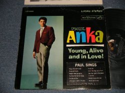 画像1: PAUL ANKA - YOUNG, ALIVE AND IN LOVE! (with PORTRAIT OF PAUL ANKA on BACK COVER STYLE) (With HYPE / TITLE SEAL on FRONT COVER) (With CUSTOM INNER SLEEVE)  (Ex+/Ex+ EDSP) /1962 US AMERICA ORIGINAL 2nd Press Jacket  STEREO Used LP
