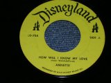 画像: ANNETTE / JIMMIE DODD - HOW WILL I KNOW MY LOVE / ANNETTE / 1960s US ORIGINAL 7"SINGLE  