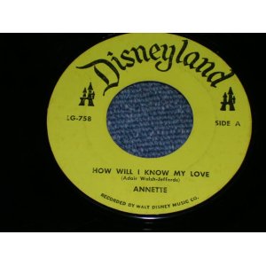 画像: ANNETTE / JIMMIE DODD - HOW WILL I KNOW MY LOVE / ANNETTE / 1960s US ORIGINAL 7"SINGLE  