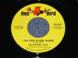 画像: THE SHANGRI-LAS - I CAN NEVER GO HOME ANYMORE / 1965 US ORIGINAL 7" Single 