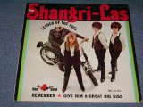 画像: THE SHANGRI-LAS - LEADER OF THE PACK / 1965 US ORIGINAL MONO LP 