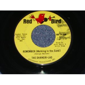 画像: THE SHANGRI-LAS - REMEMBER / 1964 US ORIGINAL 7" Single  